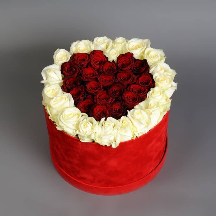 39 красных и белых роз в цилиндре в Сургуте