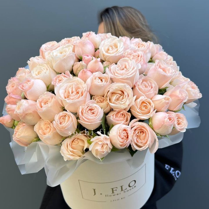 Бомбастик бокс Премьер в Сургуте