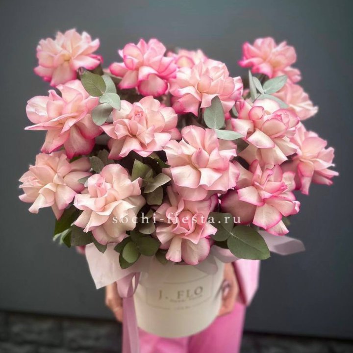 17 Французских  роз Венди в боксе в Сургуте