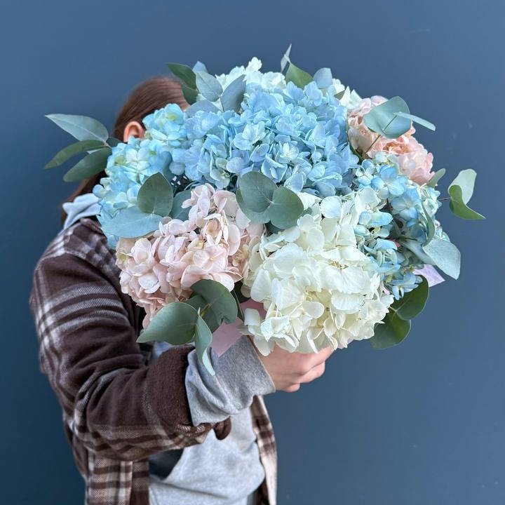 Гортензии в коробочке в Сургуте