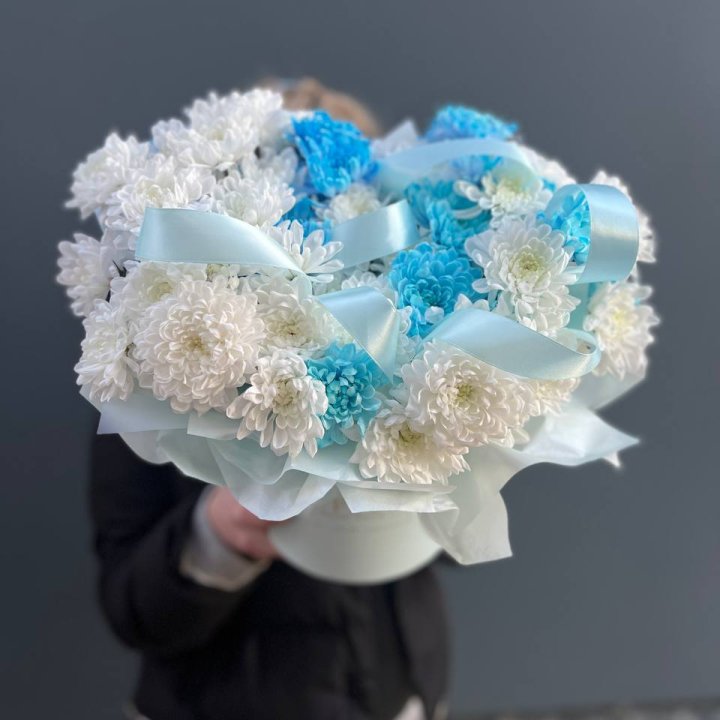 Хризнтемы в боксе в Сургуте