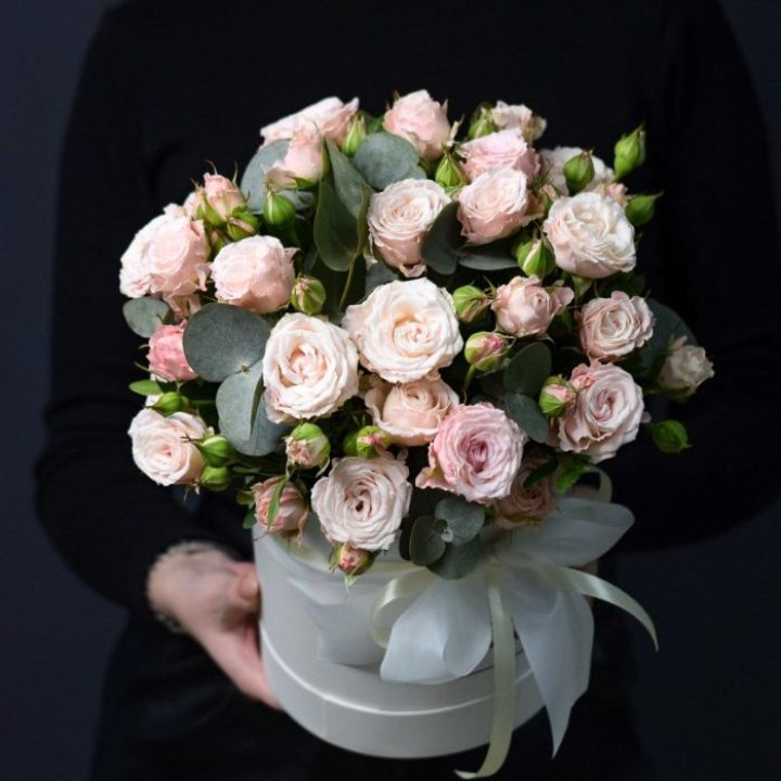 Бомбастик бокс №2 в Сургуте