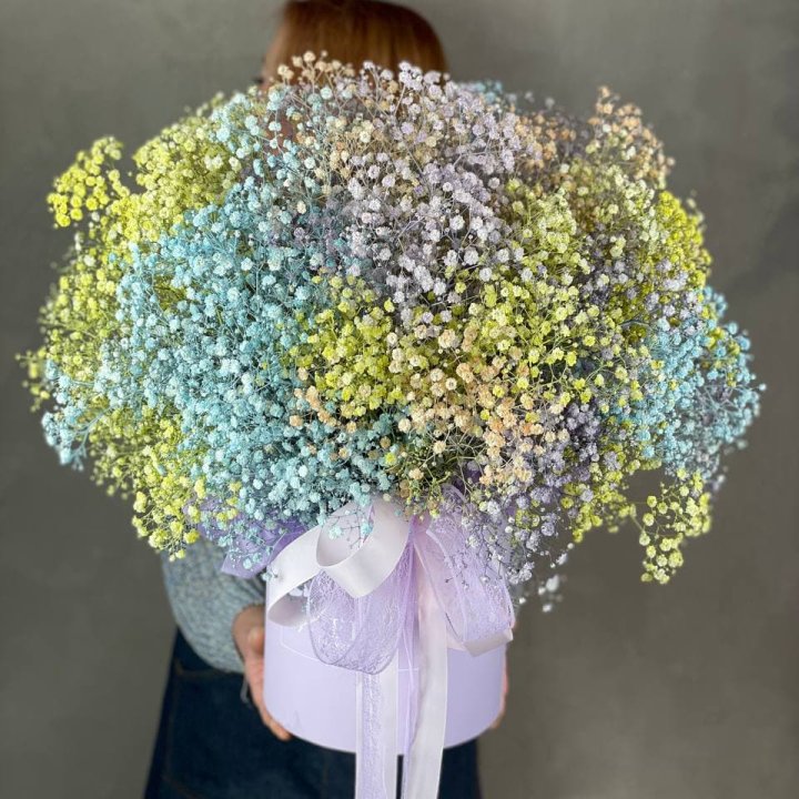 Бокс из гипсафил в Сургуте