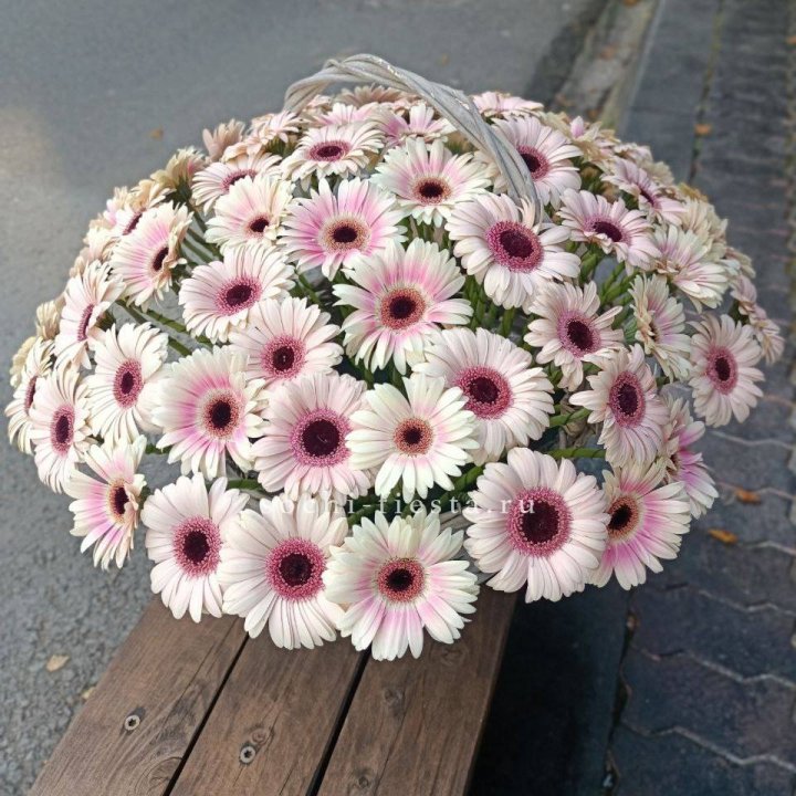 Корзина с герберами  в Сургуте