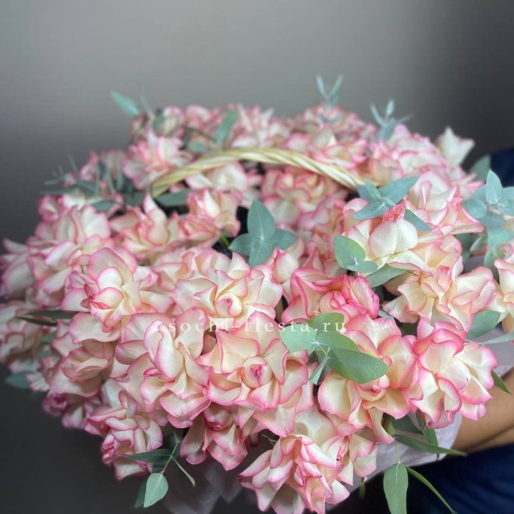 51 джумилия  в корзине   в Сургуте