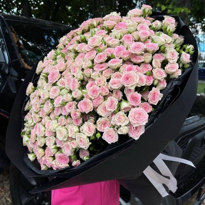 101 кустовая роза "Твистер" в Сургуте