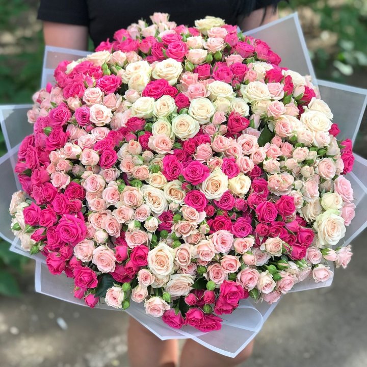 101 кустовая роза в Сургуте