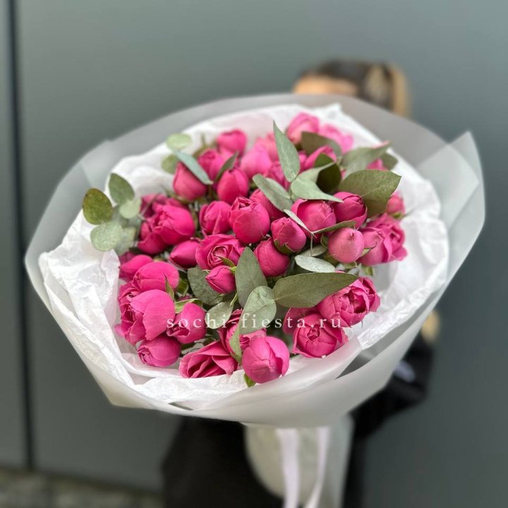 17 Мисти бабблс в Сургуте