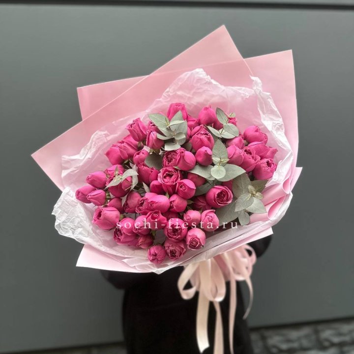 25 Мисти бабблс в Сургуте