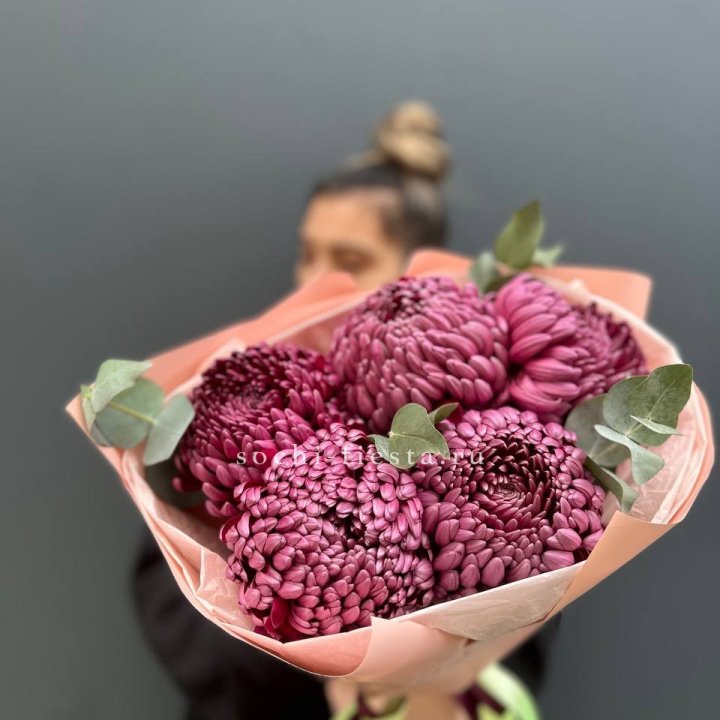 Хризантемы  Бигуди  в Сургуте