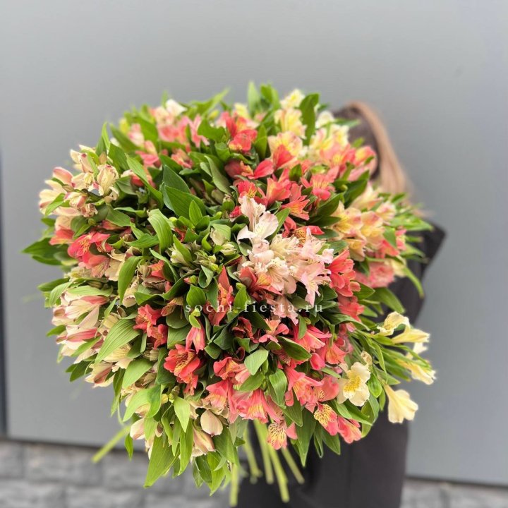 51 альстромерия в Сургуте