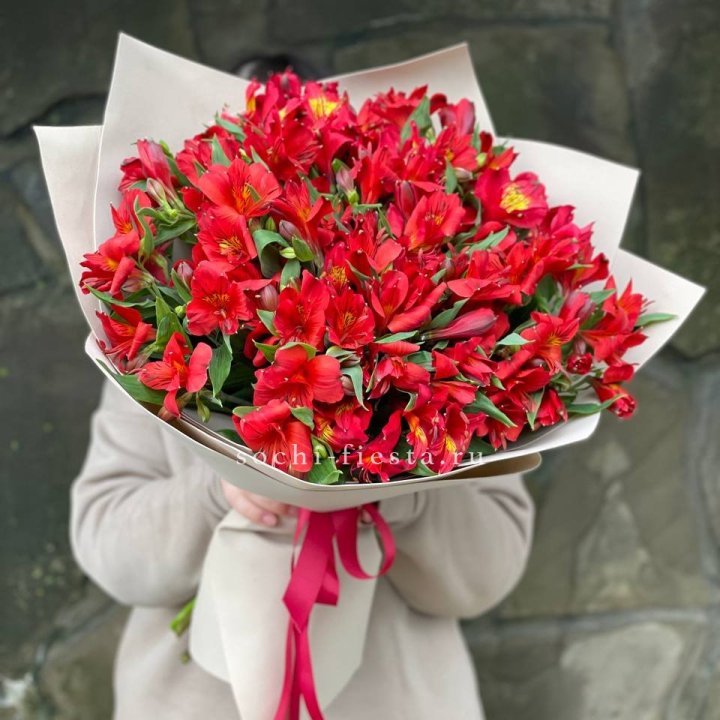 51 альстромерия в Сургуте