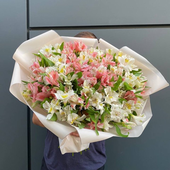 39 альстромерий в Сургуте