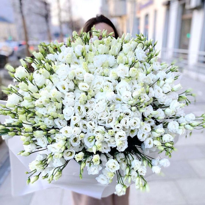 101 белая эустома в Сургуте