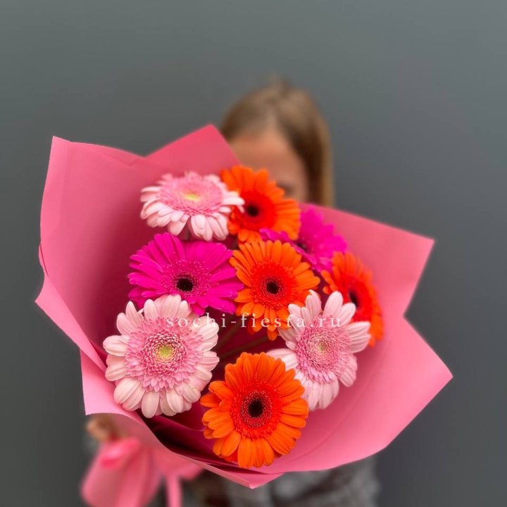 Краски в Сургуте