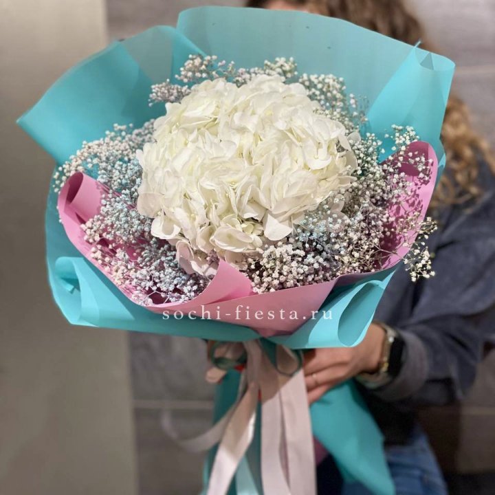 Гортензия "Райдов" в Сургуте