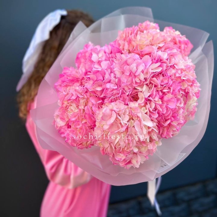 7 ярко розовых гортензий в Сургуте