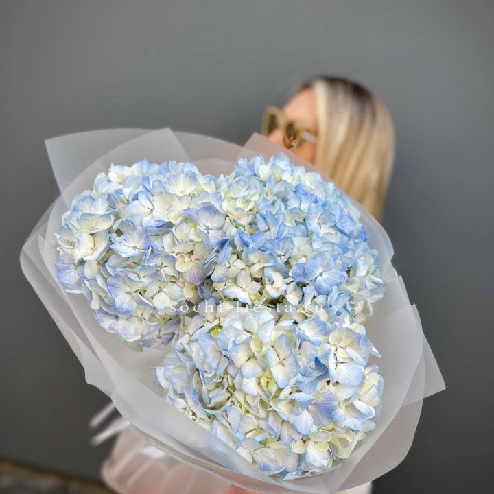 Букет из 3 голубых гортензий  в Сургуте