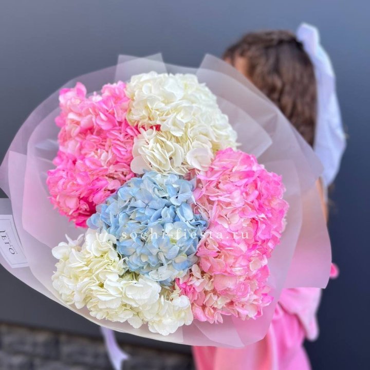 7 гортензий микс в Сургуте