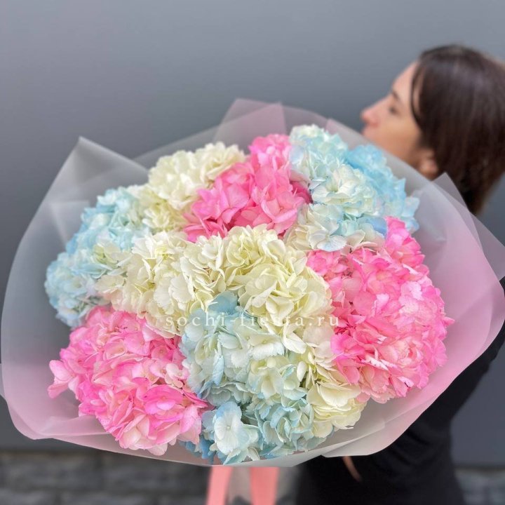 9 гортензий микс в Сургуте