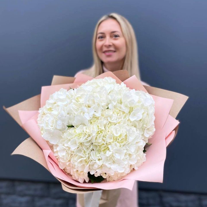 Гортензия белая в Сургуте