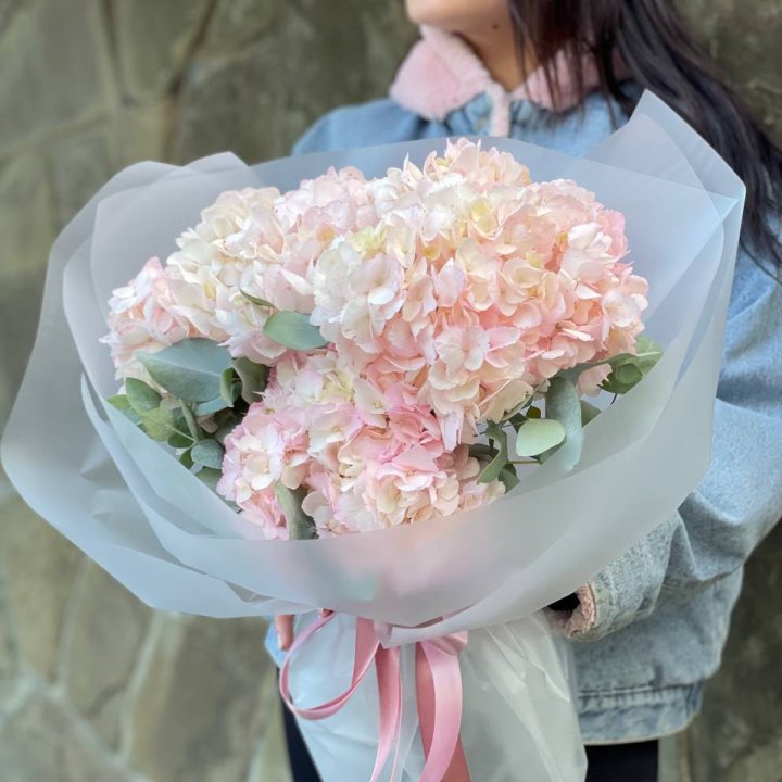 5 розовых гортензий в Сургуте