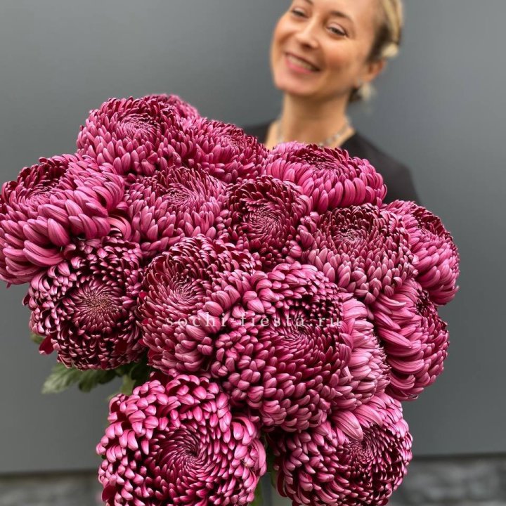 Охапка хризантем Бигуди в Сургуте