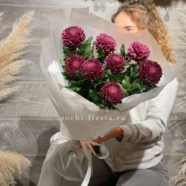 Хризантемы Бигуди в Сургуте