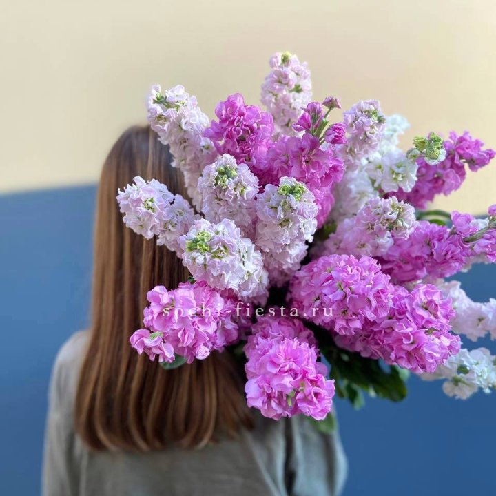 Охапка маттиолы в Сургуте