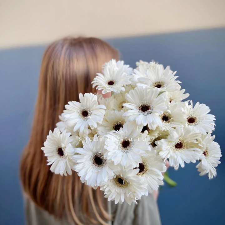 Охапка гербер в Сургуте