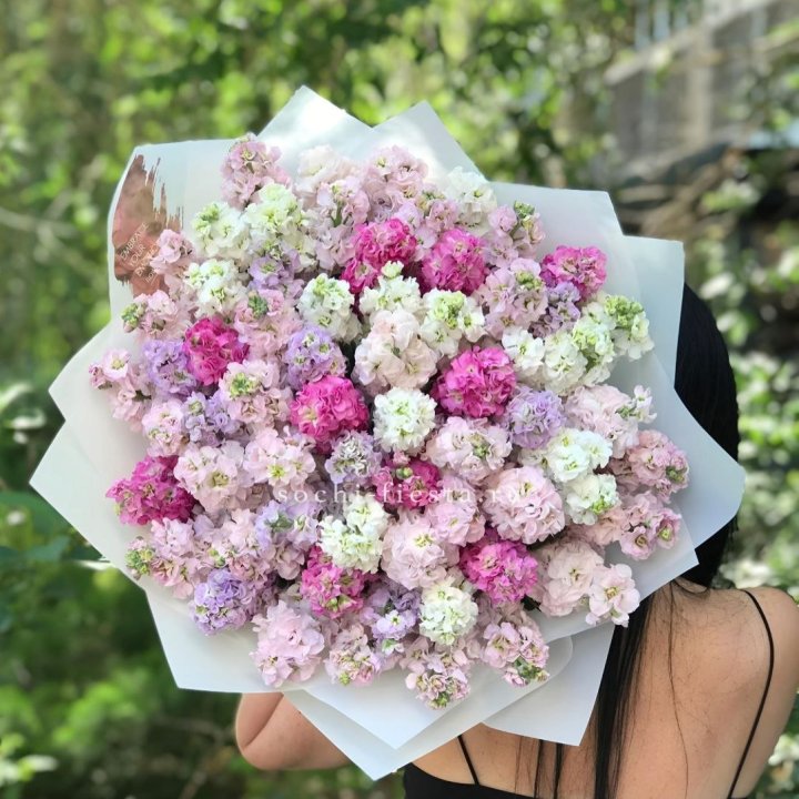 Букет ароматной маттиоллы №3 в Сургуте