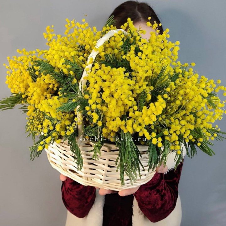 Корзина ароматной мимозы в Сургуте