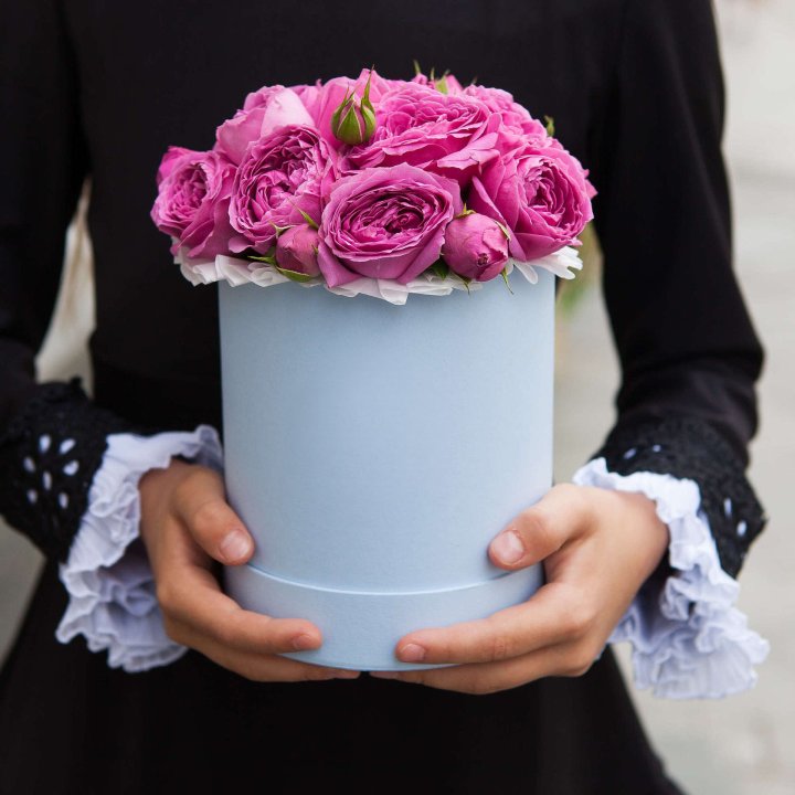 Бокс мини мисти в Сургуте