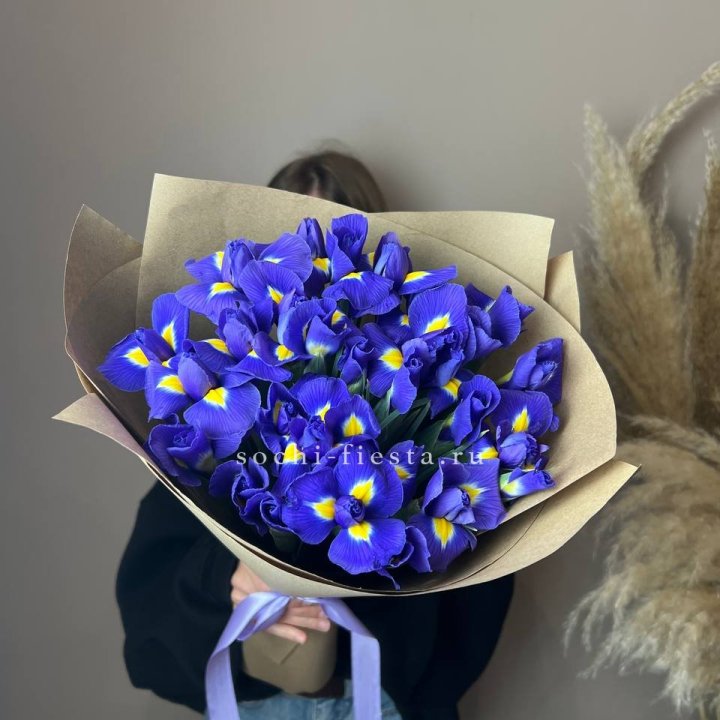 Ирисы в Сургуте