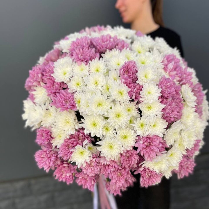  Букет 25 хризантем микс в Сургуте