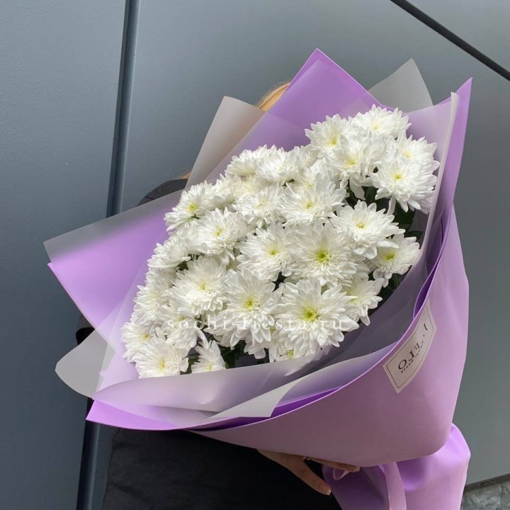  7 хризантем  в Сургуте