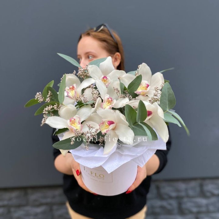 7 орхидей в боксе в Сургуте