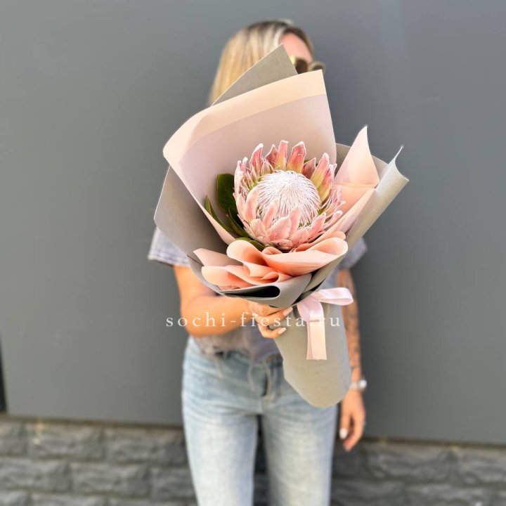 Протея мини  в Сургуте