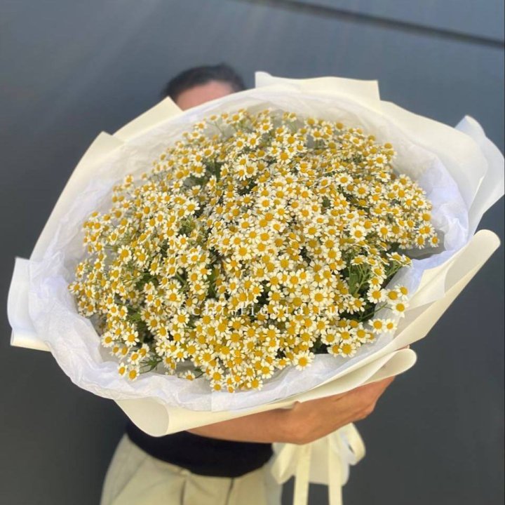 Букет ромашек №2 в Сургуте