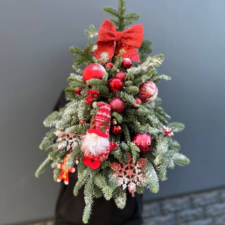 Новогодняя елочка "Ред" в Сургуте