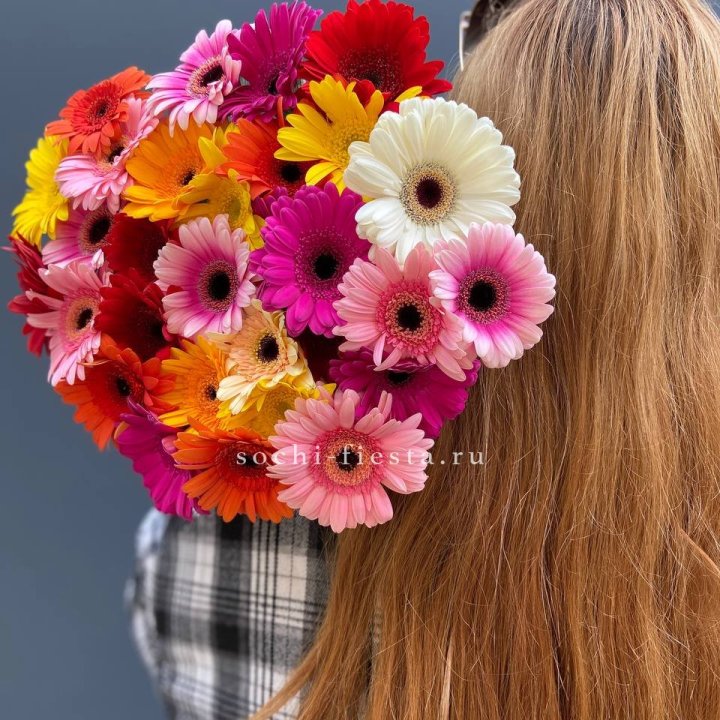 Охапка гербер  в Сургуте