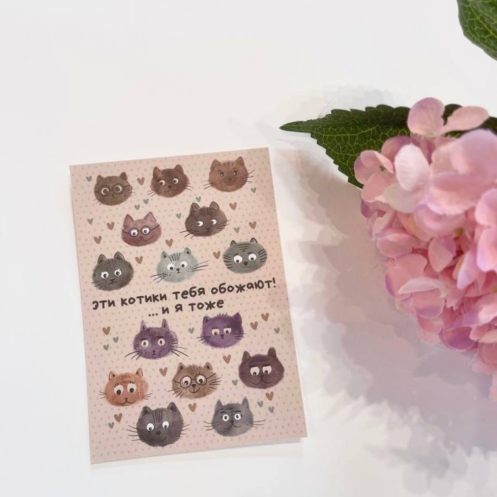 Открытка к букету "Котики" в Сургуте