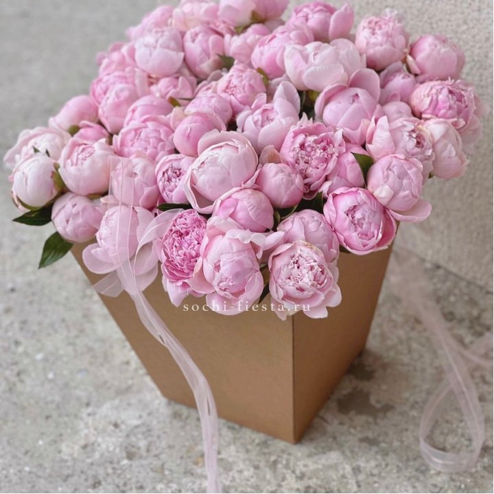 49 пионов в крафт коробке в Сургуте