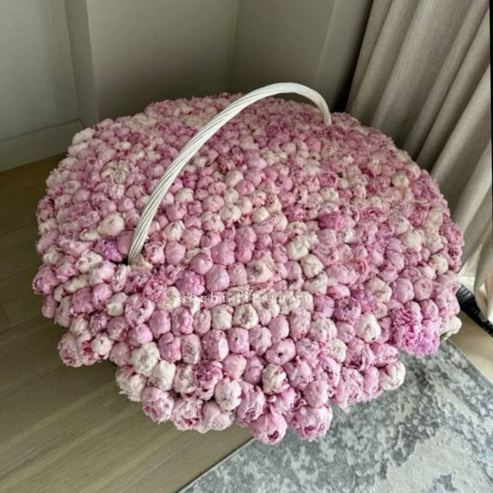 Корзина 555 пионов в Сургуте