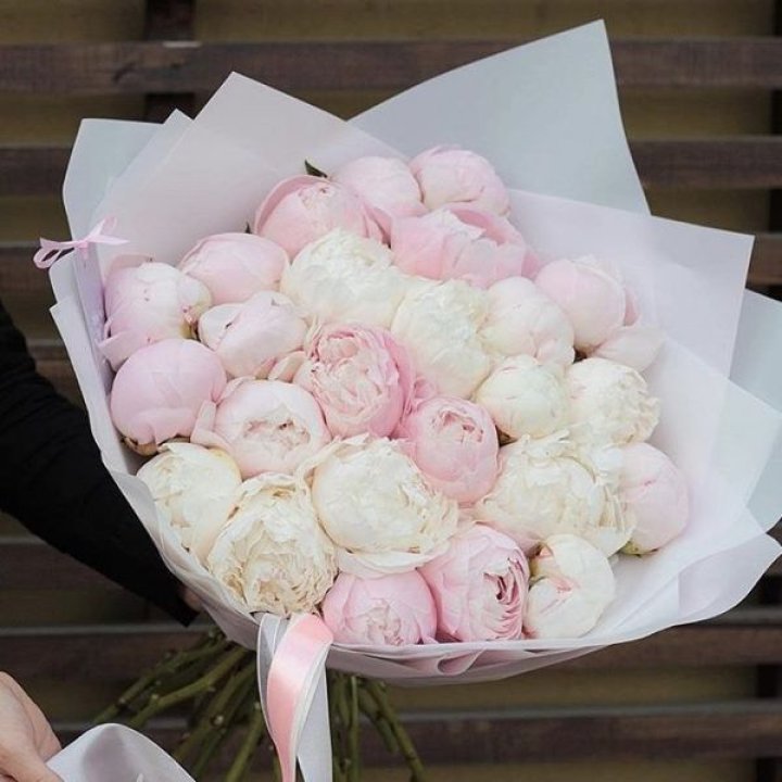 29 пионов в Сургуте