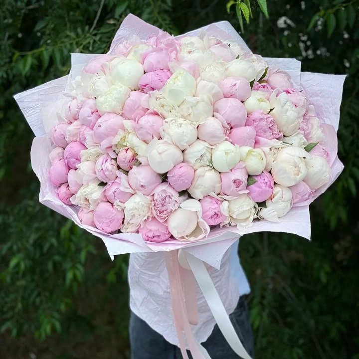 101 пион в Сургуте