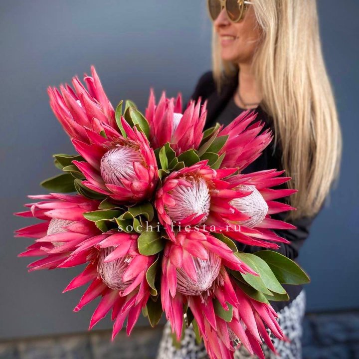 Протея штучно в Сургуте