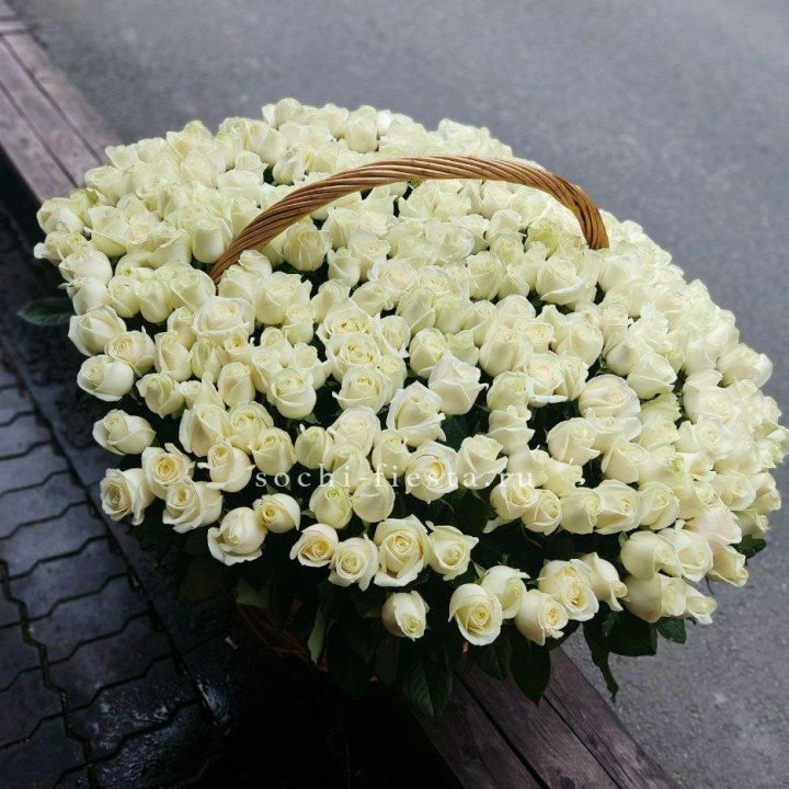 303 розы в корзине в Сургуте