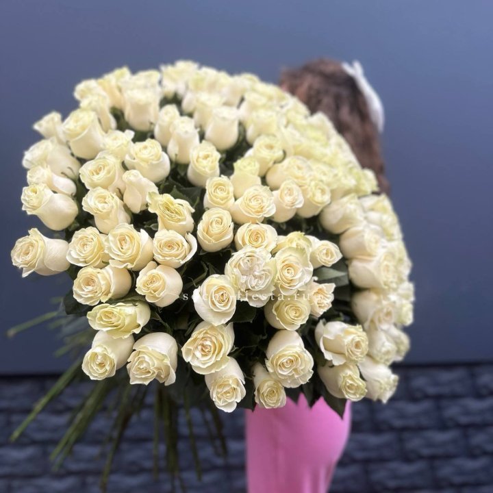 101 белая высокая импортная роза под ленту в Сургуте