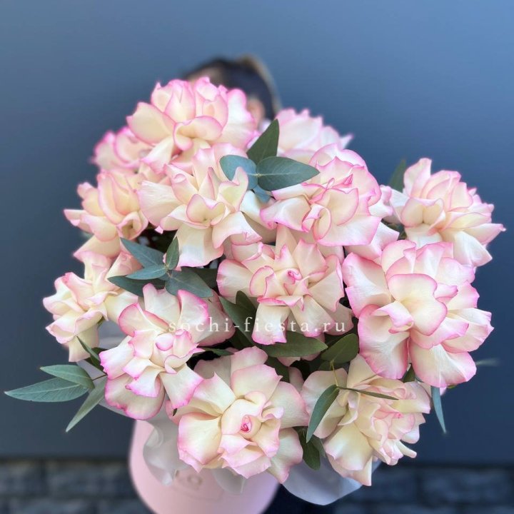 15 Французских роз Джумилия в боксе в Сургуте